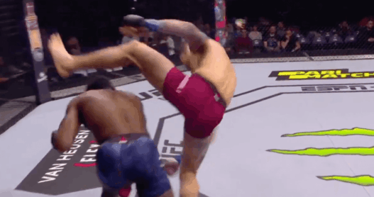 Dwight Grant KO UFC Prague