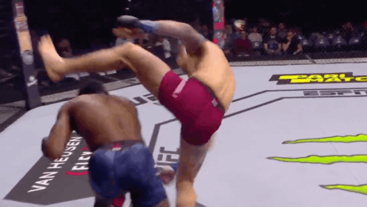 Dwight Grant KO UFC Prague
