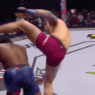 Dwight Grant KO UFC Prague