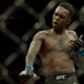 Israel Adesanya celebration