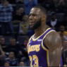 LeBron James Lakers Grizzlies