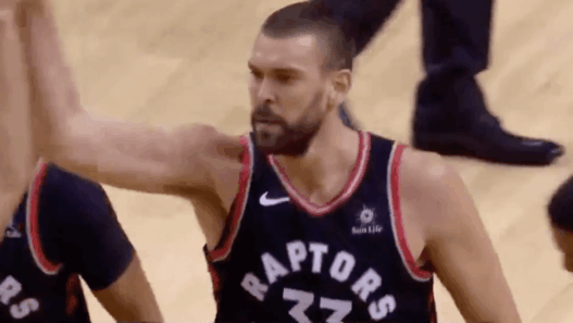 Marc Gasol Toronto Raptors