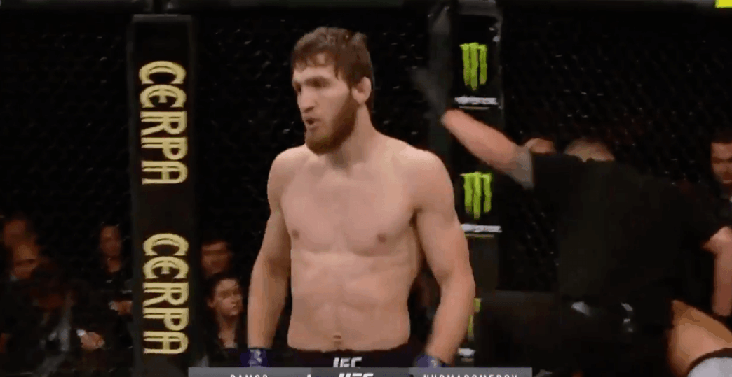 Said Nurmagomedov UFC MMA