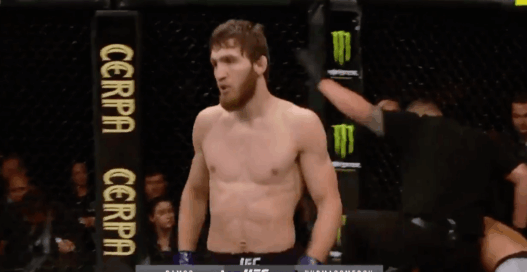 Said Nurmagomedov UFC MMA