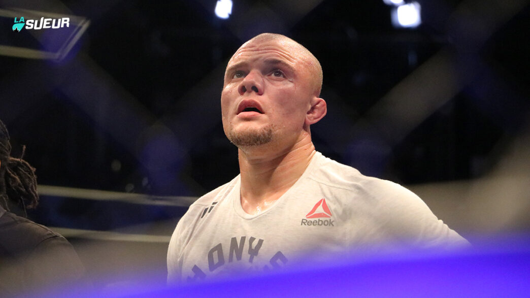 Anthony Smith UFC 235
