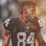 Antonio Brown Raiders
