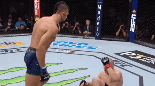 Johnny Walker UFC 235 knee