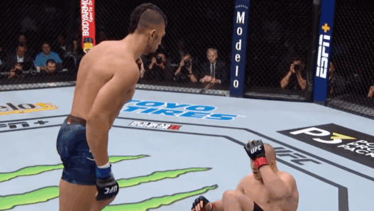 Johnny Walker UFC 235 knee