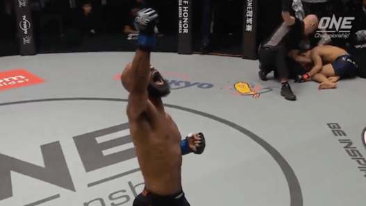 One FC guillotine Demetrious Johnson