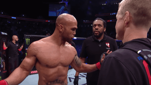 Robbie Lawler UFC 235