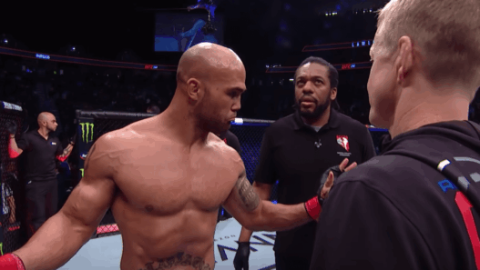 Robbie Lawler UFC 235