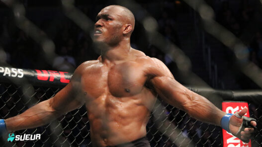 UFC 235 Kamaru Usman