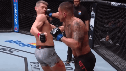 UFC Stephen Thompson Pettis