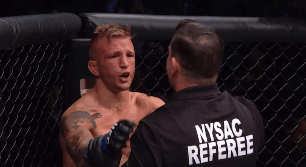 TJ Dillashaw UFC
