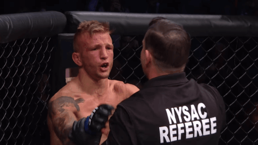 TJ Dillashaw UFC
