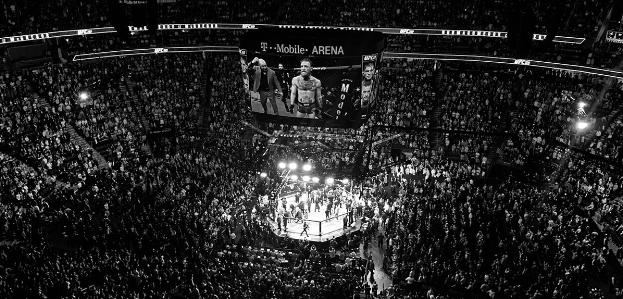 UFC 229 Las Vegas