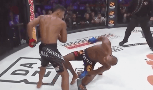 Bellator Michael Venom Page Douglas Lima