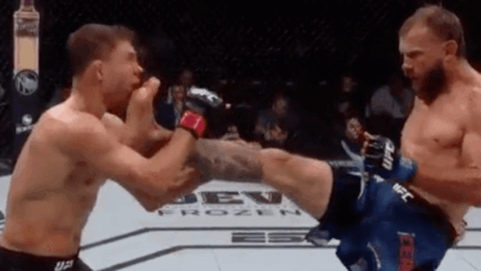 Donald Cerrone Al Iaquinta