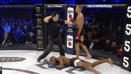 MMA Raymond Daniels Bellator