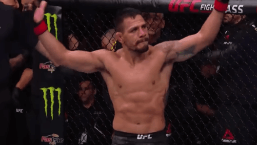 Rafael Dos Anjos UFC