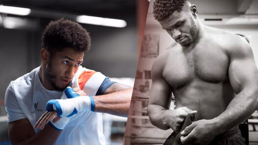 Raphaël Tronché vs. Tony Yoka : pourquoi ça ne se fait pas ?