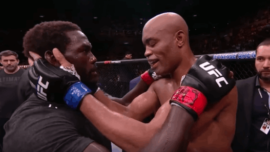UFC 237 Anderson Silva TKO Jared Cannonier