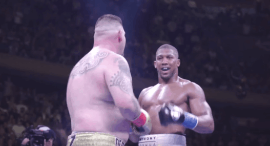 Anthony Joshua Andy Ruiz Rematch
