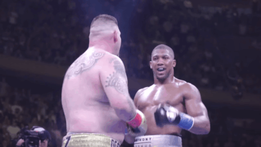 Anthony Joshua Andy Ruiz Rematch