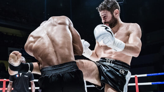 (C) Manuel Mendes pour Touche Finale