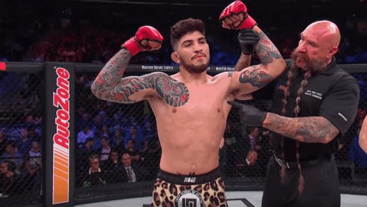 Dillon Danis Bellator 222
