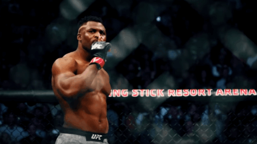 Francis Ngannou title shot combat