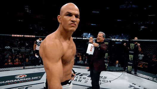 Junior Dos Santos