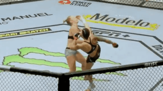 Amanda Nunes Holly Holm UFC 239