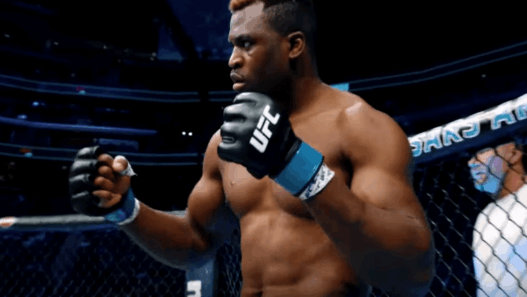 Francis Ngannou UFC Cage