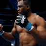 Francis Ngannou UFC Cage