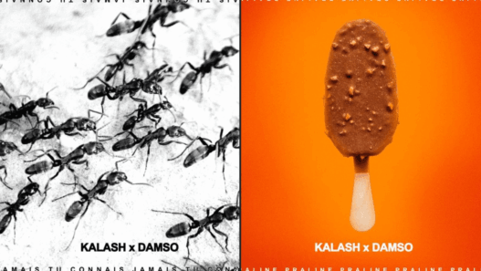 JTC Praline Kalash Damso