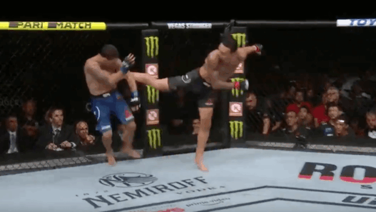 Max Holloway Frankie Edgar UFC 240