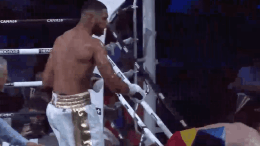 Tony Yoka Alexander Dimitrenko KO