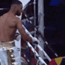 Tony Yoka Alexander Dimitrenko KO