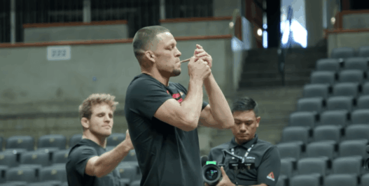 Nate Diaz UFC 241 joint