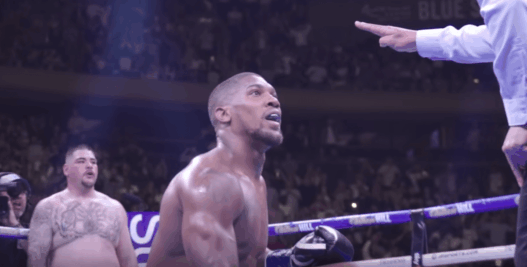 Anthony Joshua Andy Ruiz concussed