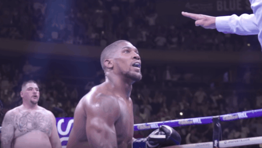 Anthony Joshua Andy Ruiz concussed