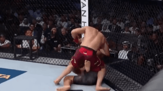 Islam Makhachev UFC 242