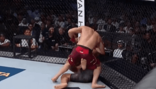 Islam Makhachev UFC 242