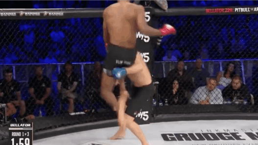 Michael Venom Page Bellator 227