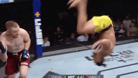 Michel Pereira UFC flip
