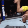 Michel Pereira UFC flip