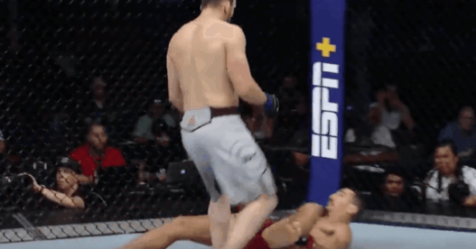 Nordine Taleb UFC 242