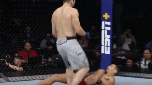 Nordine Taleb UFC 242