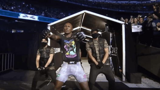 Israel Adesanya UFC 243 entrance